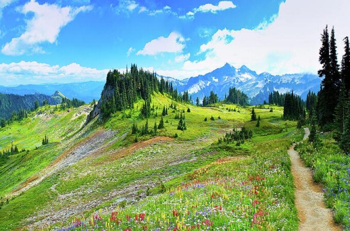 How to visit Mount Rainier National Park.?