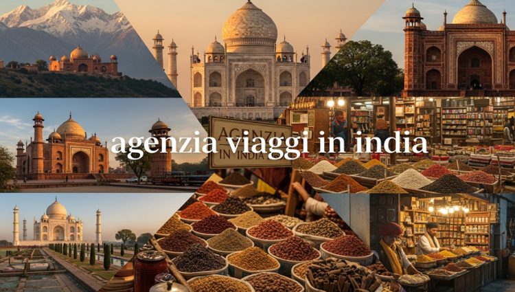 Best Travel Agencies for the Golden Triangle in India 2026